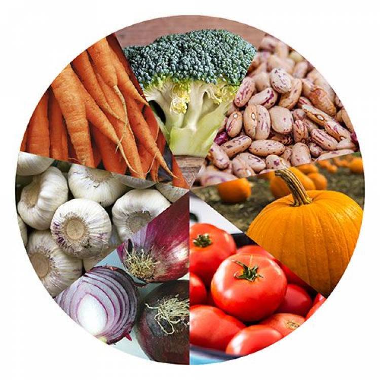 7 Alimentos para fortalecer el sistema inmunológico