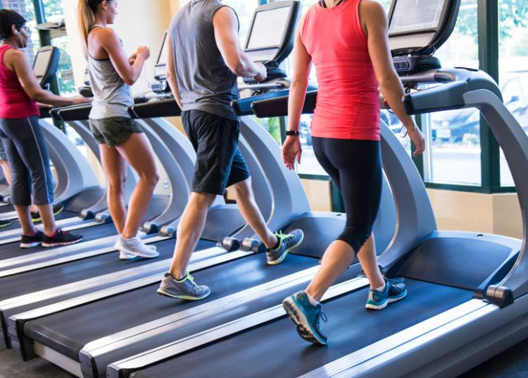 The Benefits of Physical Activity (NEAT and EAT)