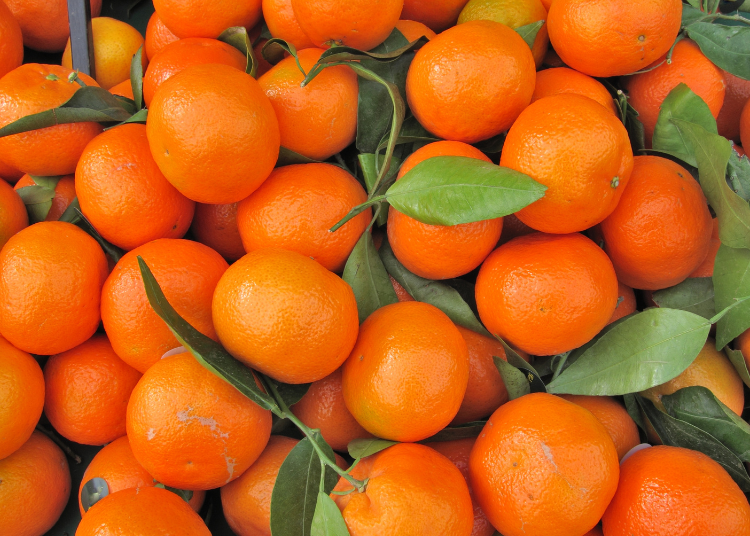 Vitamin C: Why This Nutrient Deserves More Than Just Cold and Flu Season