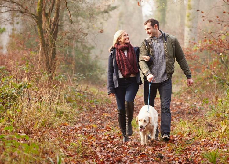 Embracing Autumn: Natural Ways to Support Wellbeing as the Seasons Change