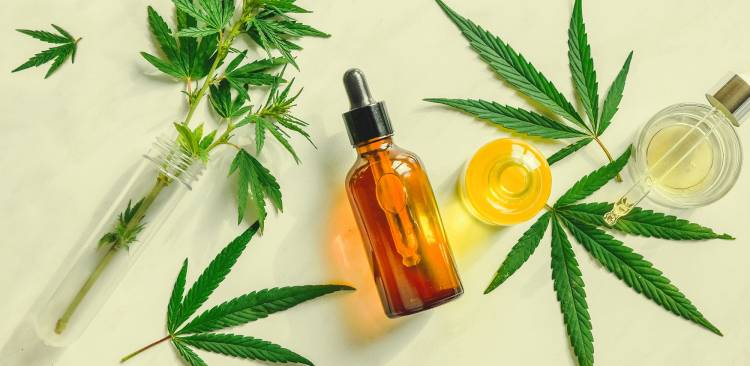 Qu’est-ce que le CBD ?