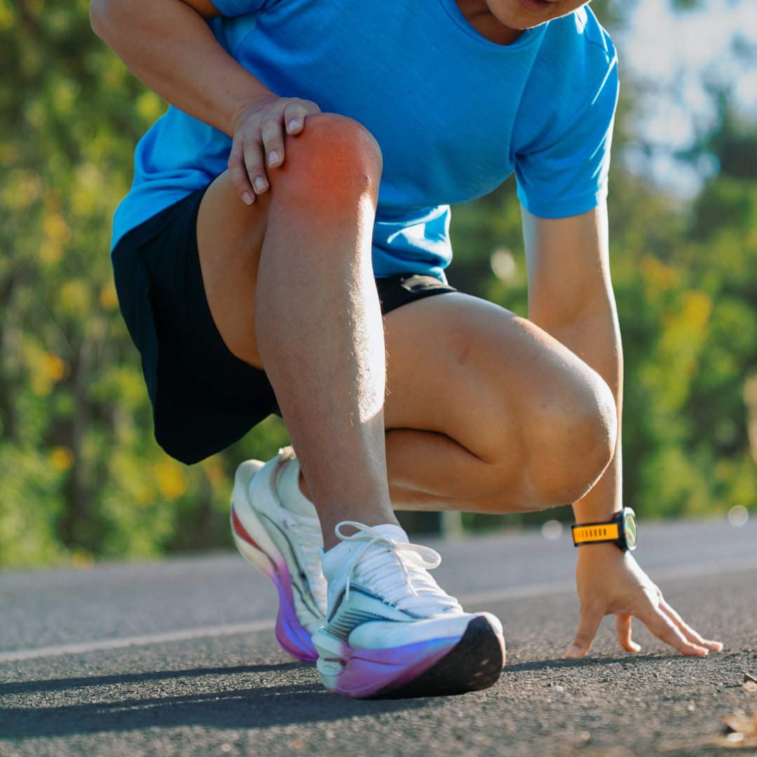 Chondroitin Supplements | Simply Supplements