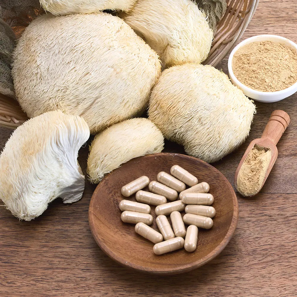 Functional Mushroom Supplements