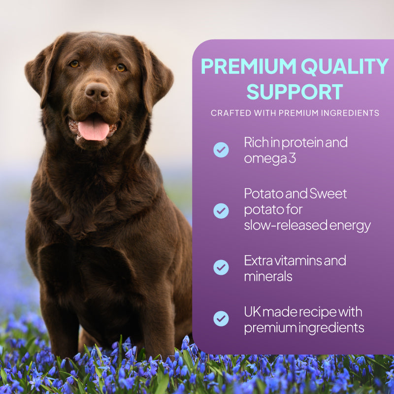 Dog food benefits alongside claims about premium ingredients, protein and omega 3, potato and sweet potato for slow-released energy, added vitamins and minerals, and a UK-made recipe
