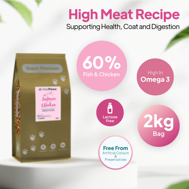 Salmon and Chicken adult cat food bag image with 60% fish and chicken recipe, high in omega 3, lactose free, 2kg bag, and free from artificial colours and preservatives