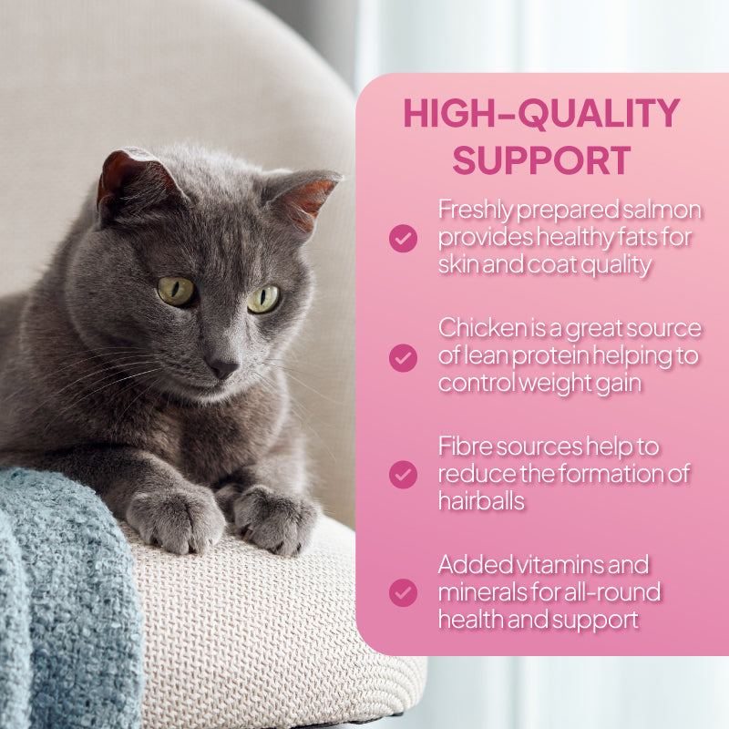 Cat food lifestyle benefits image showing a grey cat resting on a chair alongside claims about healthy fats for skin and coat, lean chicken protein for weight control, fibre to help reduce hairballs, and added vitamins and minerals for overall health