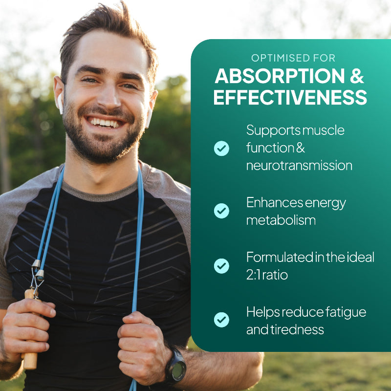 Calcium & Magnesium Tablets support muscle function and neurotransmission and enhances energy metabolism
