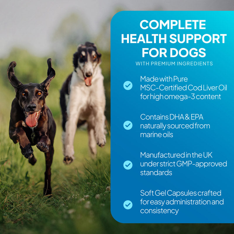 Two active dogs running beside a cod liver oil graphic highlighting MSC-certified marine omega-3s, DHA, EPA and easy-to-feed soft gel capsules