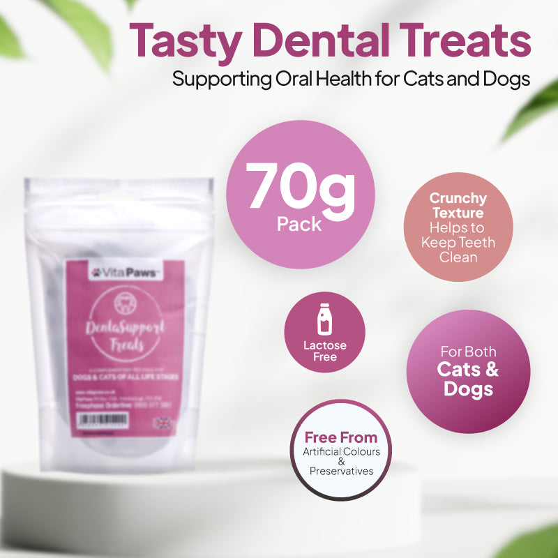 Dental treats for cats and dogs in a 70g pack with crunchy texture, lactose-free formula and no artificial colours or preservatives