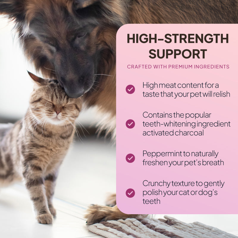 Dog and cat beside a dental treat graphic highlighting activated charcoal, peppermint, crunchy texture and fresh breath support