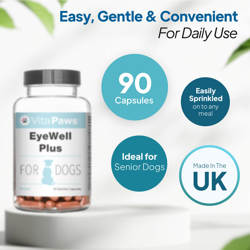 Dog eye health supplement with 90 capsules, made in the UK, easy to sprinkle onto food and suitable for senior dogs