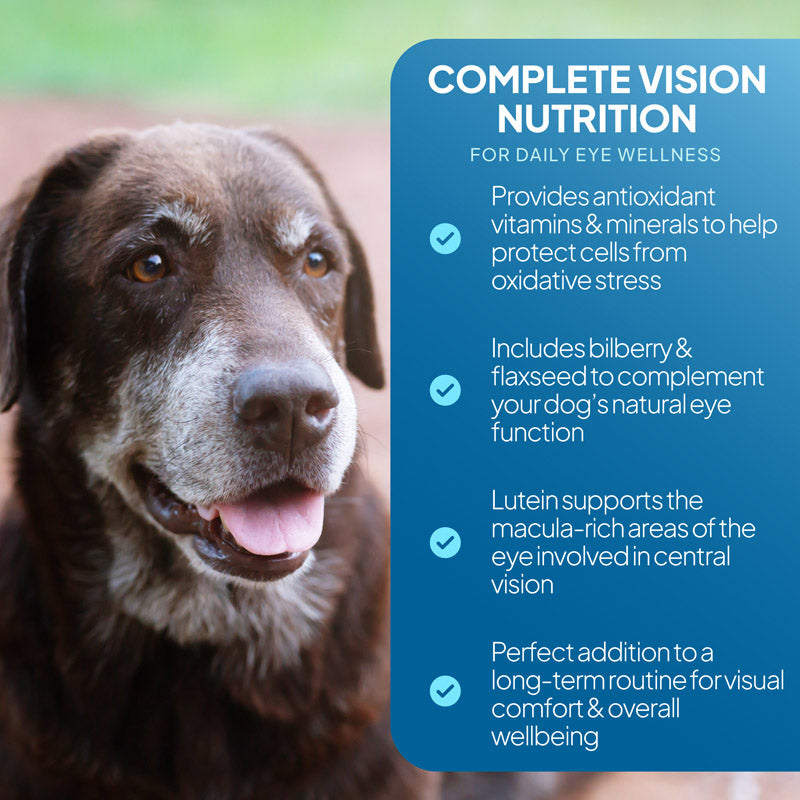 Senior dog beside an eye wellness graphic highlighting antioxidant vitamins and minerals, bilberry, flaxseed and lutein for daily vision support
