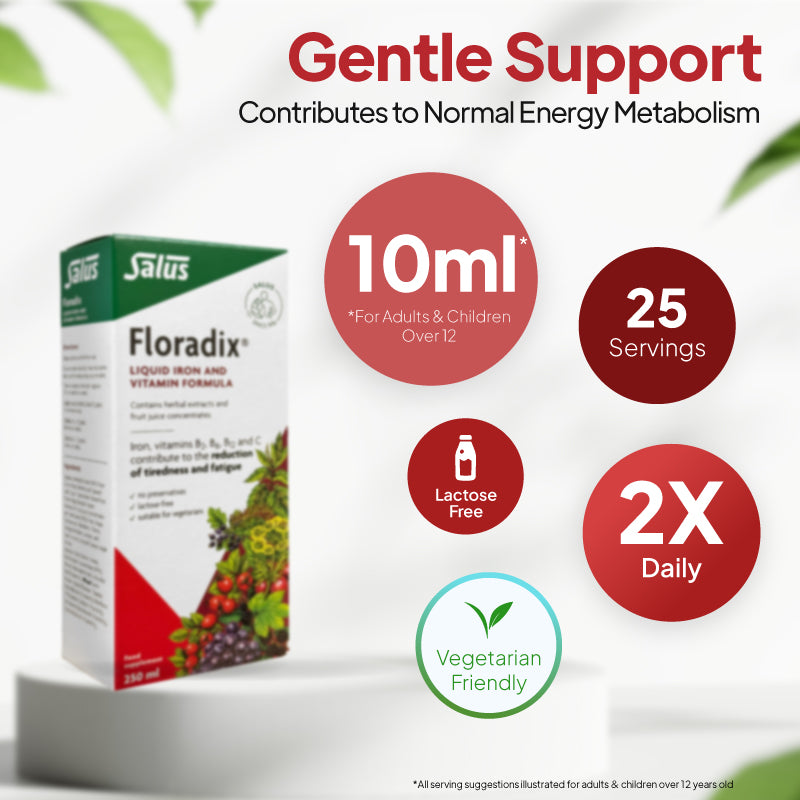 Product infographic for Salus Floradix Liquid Iron and Vitamin Formula, showing the carton on a pedestal against a light background with circular callouts under the heading “Gentle Support” and subheading “Contributes to Normal Energy Metabolism,” highlighting 10ml for adults and children over 12, 25 servings, twice daily use, lactose free, and vegetarian friendly.