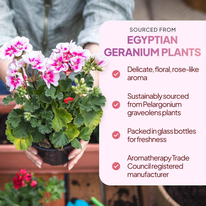 Simply Supplements Geranium essential oil lifestyle graphic highlighting Egyptian geranium plant sourcing, delicate floral rose-like aroma, glass bottle packaging and Aromatherapy Trade Council registered manufacturer.