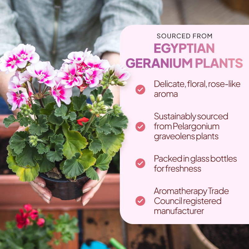 Simply Supplements Geranium essential oil lifestyle graphic highlighting Egyptian geranium plant sourcing, delicate floral rose-like aroma, glass bottle packaging and Aromatherapy Trade Council registered manufacturer.
