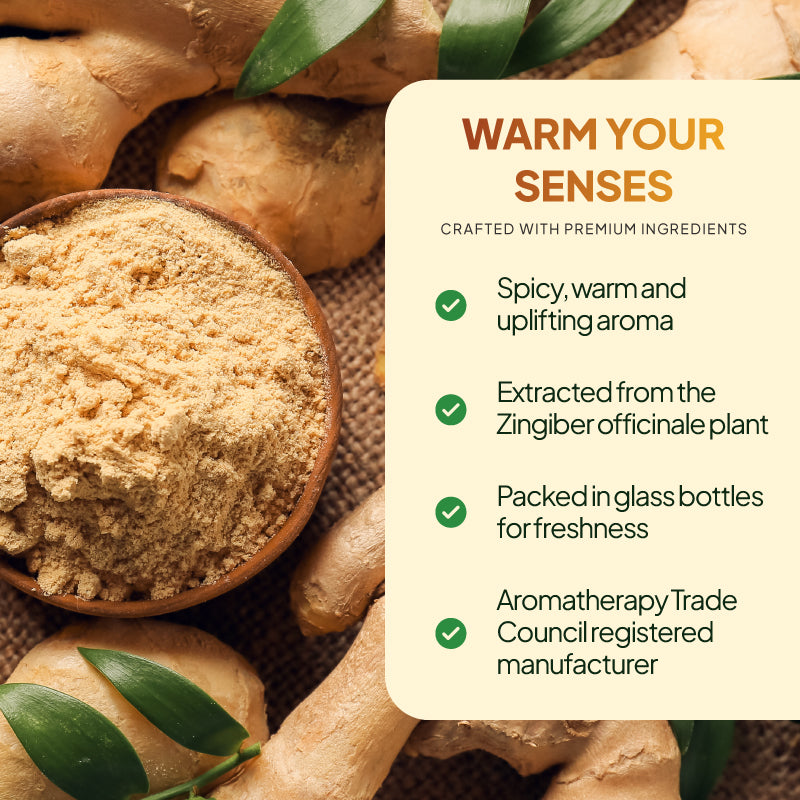 Simply Supplements Ginger essential oil lifestyle graphic highlighting warm spicy uplifting aroma, Zingiber officinale plant origin, glass bottle packaging and Aromatherapy Trade Council registered manufacturer.