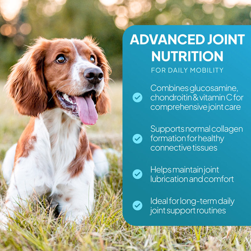 Dog sitting in grass beside a joint nutrition graphic featuring glucosamine, chondroitin and vitamin C for mobility, collagen formation and daily joint support