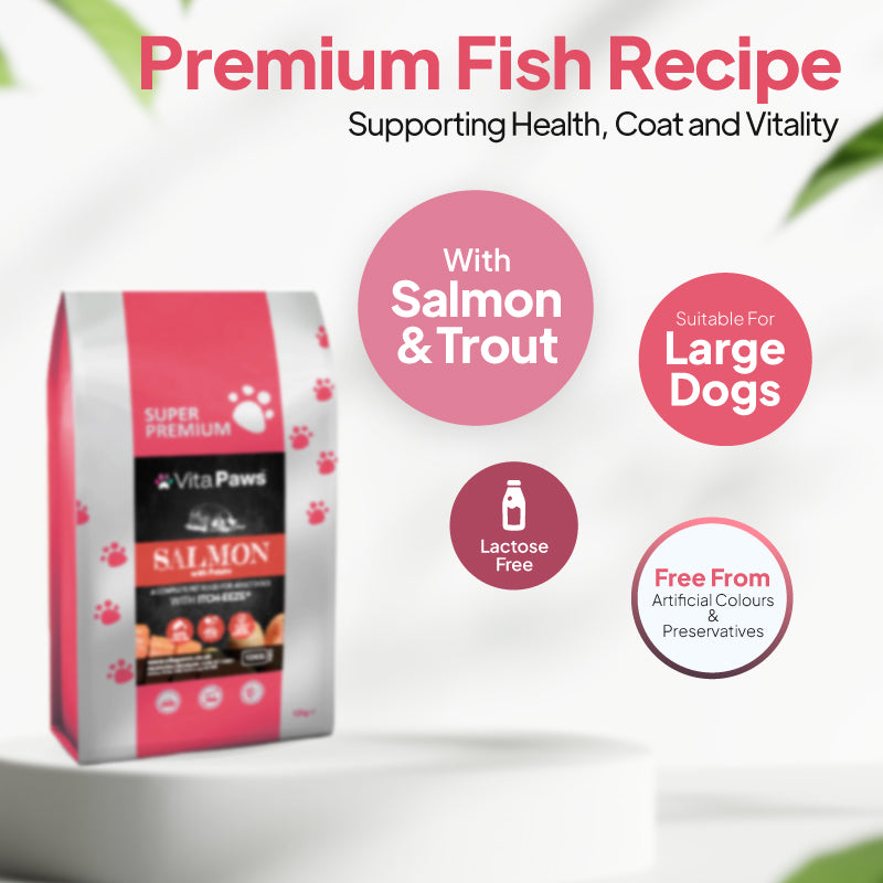 Salmon and trout dog food in a large-breed recipe, lactose free and free from artificial colours and preservatives