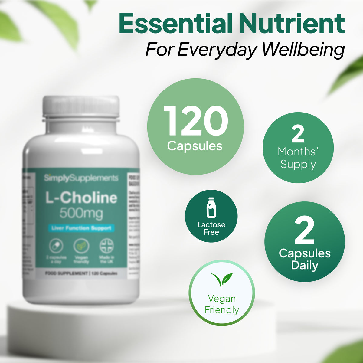 Simply Supplements L-Choline 500mg supplement with 120 capsules, 2 months’ supply, 2 capsules daily, lactose free and vegan friendly.