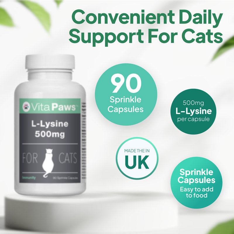 Cat L-lysine supplement with 90 sprinkle capsules, 500mg per capsule, made in the UK and easy to add to food
