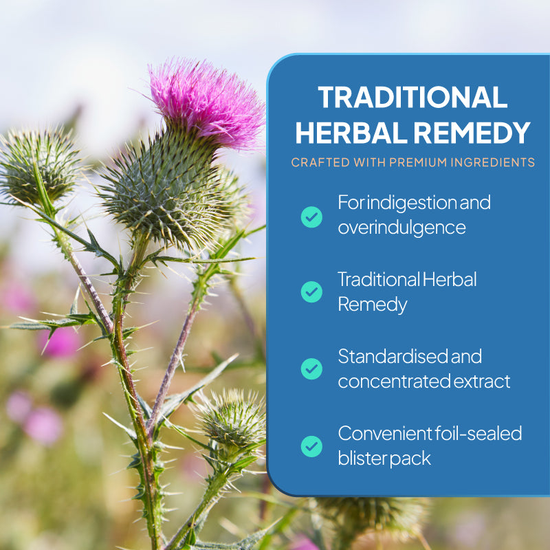 Lifestyle promotional graphic for max strength milk thistle capsules, showing a close-up of a flowering milk thistle plant beside a blue text panel reading “Traditional Herbal Remedy,” with points highlighting use for indigestion and overindulgence, traditional herbal remedy status, a standardised and concentrated extract, and a convenient foil-sealed blister pack.
