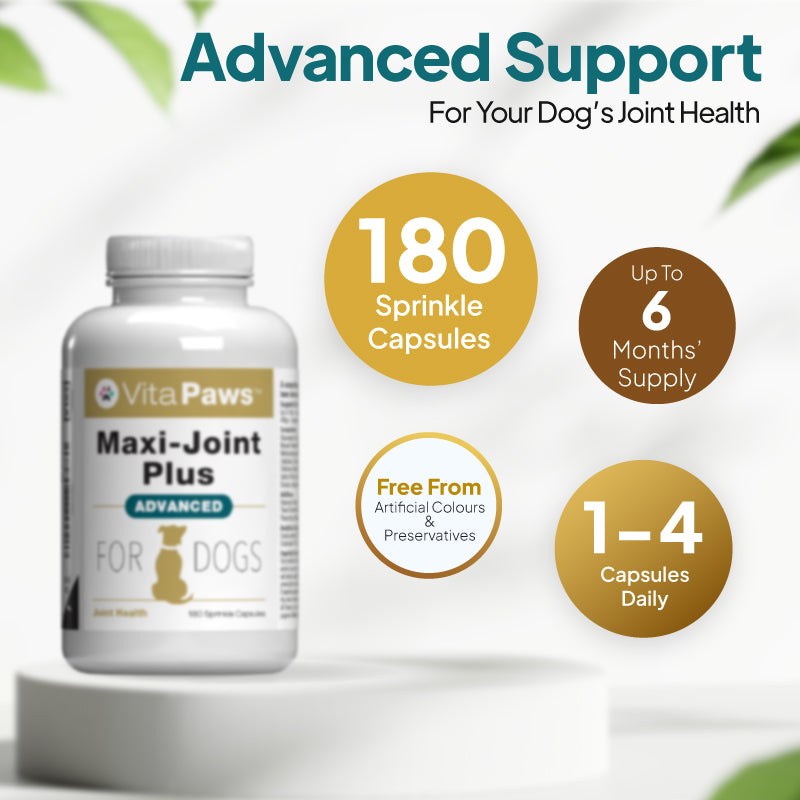 Advanced dog joint supplement with 180 sprinkle capsules, up to 6 months’ supply, free from artificial colours and preservatives