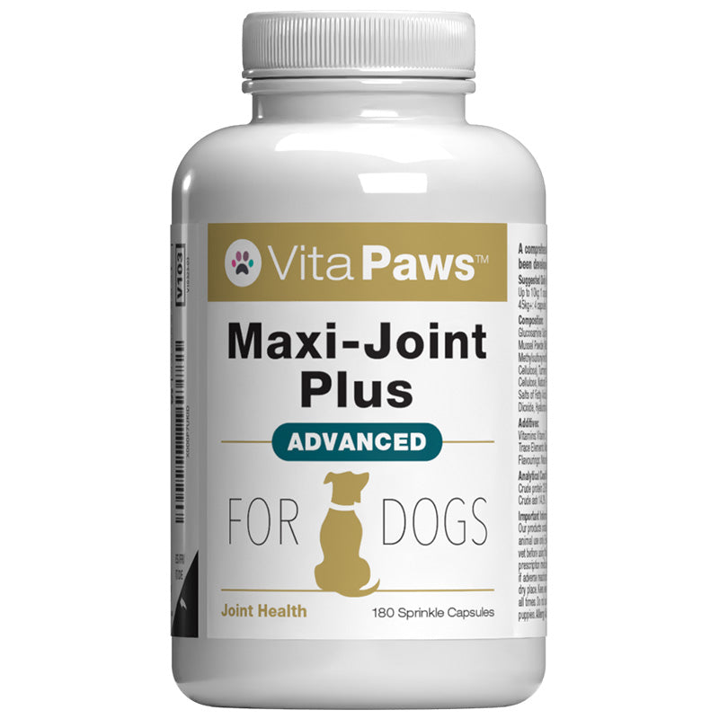 Vita Paws Maxi-Joint Plus Advanced supplement bottle for dogs on a white background