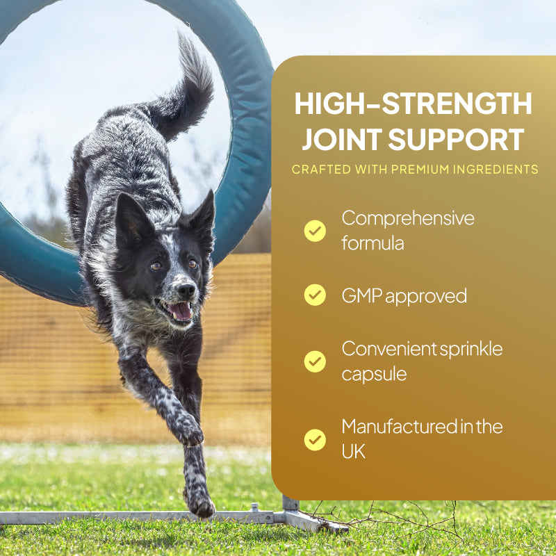 Active dog running through an agility hoop beside a joint support graphic highlighting a comprehensive formula, sprinkle capsules and UK manufacturing