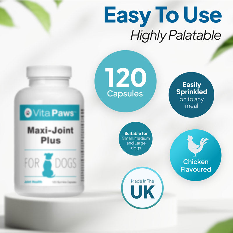 Dog joint care supplement with 120 sprinkle capsules, chicken flavour, made in the UK and suitable for small, medium and large dogs