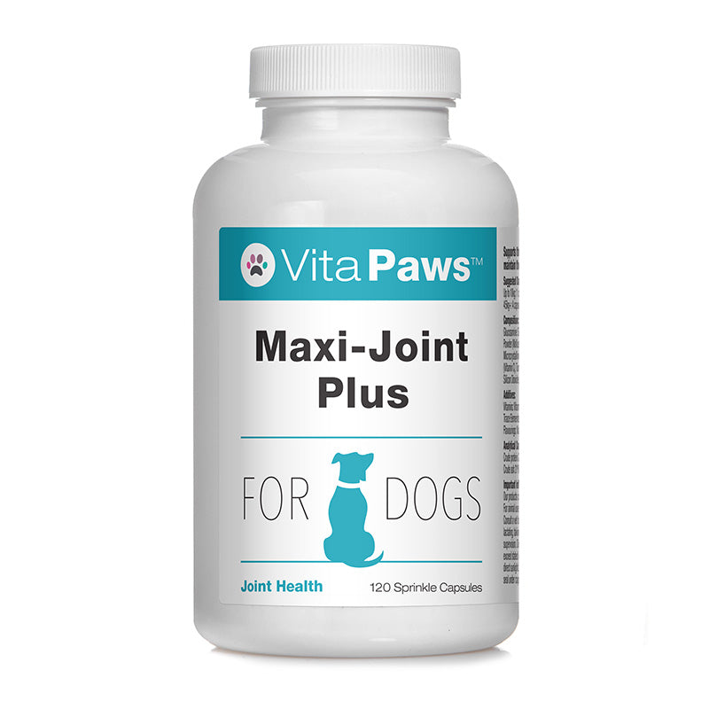 Vita Paws Maxi-Joint Plus supplement bottle for dogs on a white background
