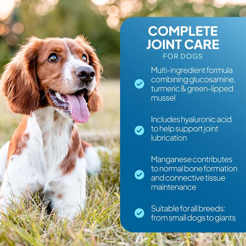 Dog sitting in grass beside a joint care graphic highlighting glucosamine, turmeric, green-lipped mussel, hyaluronic acid and support for bone and connective tissue
