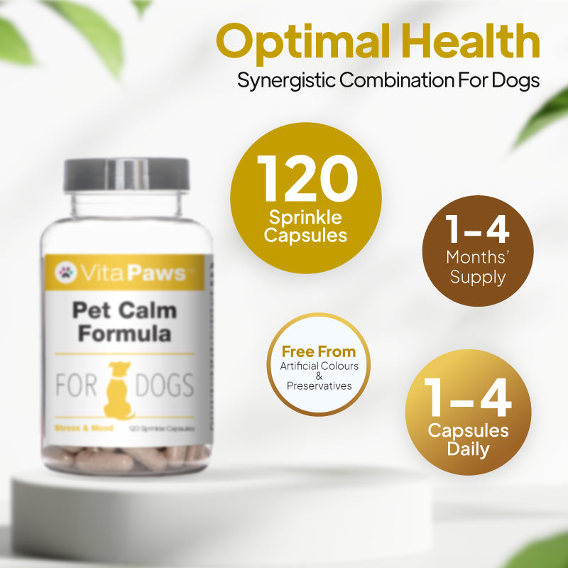 Dog calming supplement with 120 sprinkle capsules, up to 4 months’ supply, free from artificial colours and preservatives