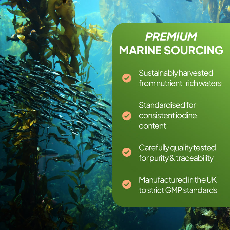 Simply Supplements Sea Kelp 4200mg premium marine sourcing graphic showing sustainably harvested sea kelp, standardised iodine content, quality-tested purity, traceability and UK GMP manufacturing.