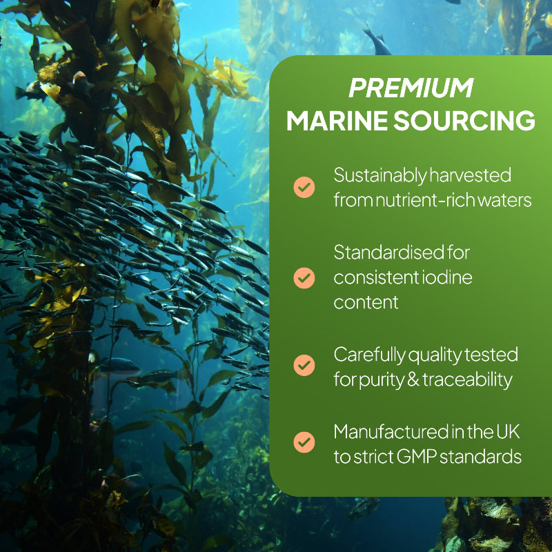Simply Supplements Sea Kelp 4200mg premium marine sourcing graphic showing sustainably harvested sea kelp, standardised iodine content, quality-tested purity, traceability and UK GMP manufacturing.