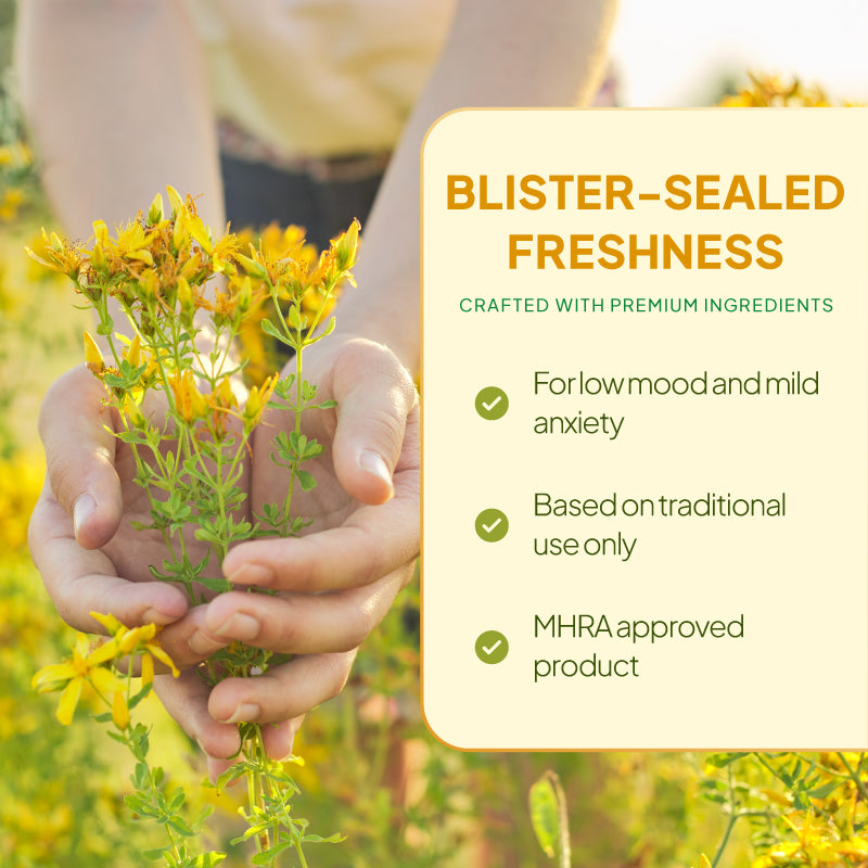 Lifestyle promotional graphic for MoodBoost St John’s Wort Tablets, showing hands holding yellow St John’s Wort flowers in a field beside a cream text panel reading “Blister-Sealed Freshness,” with points highlighting support for low mood and mild anxiety, traditional use only, and MHRA approved product status.