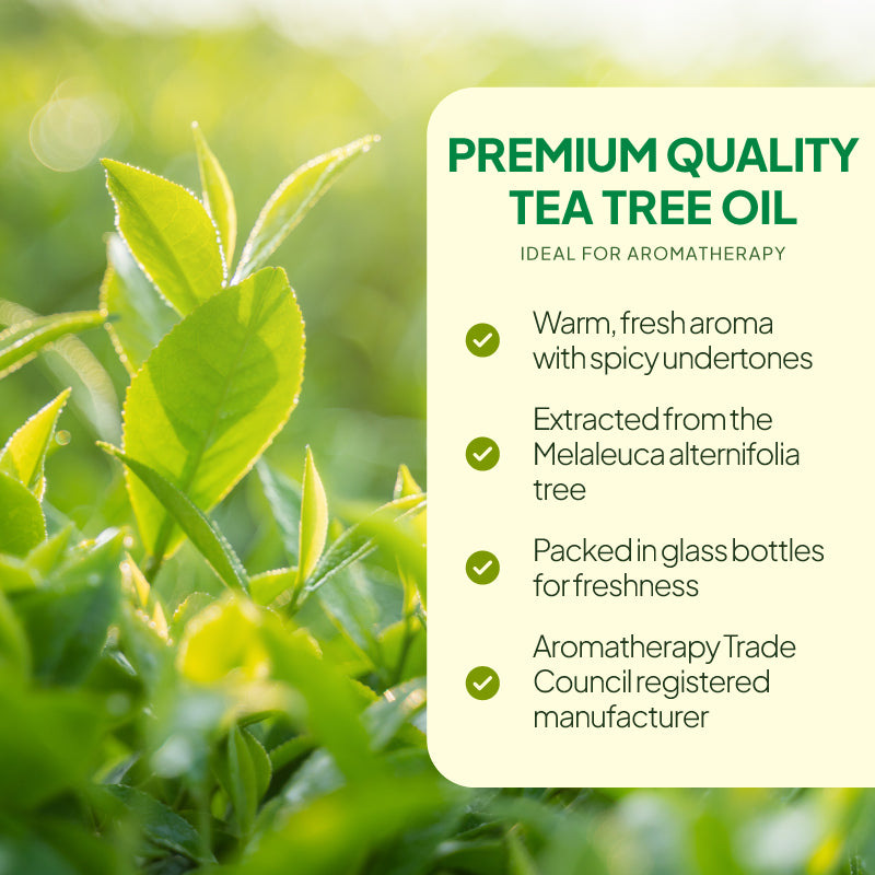 Simply Supplements Tea Tree essential oil lifestyle graphic highlighting warm fresh aroma with spicy undertones, Melaleuca alternifolia tree origin, glass bottle packaging and Aromatherapy Trade Council registered manufacturer.