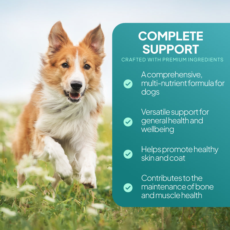 Active dog beside a complete support graphic highlighting multinutrient daily support for skin, coat, bone, muscle and overall wellbeing