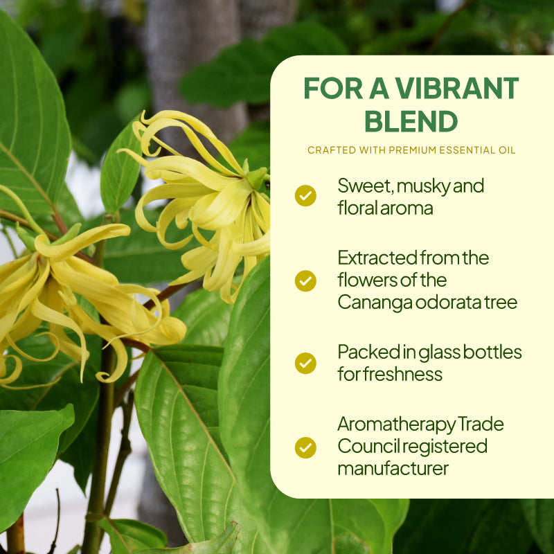 Simply Supplements Ylang Ylang essential oil lifestyle graphic highlighting sweet musky floral aroma, Cananga odorata flower sourcing, glass bottle packaging and Aromatherapy Trade Council registered manufacturer.