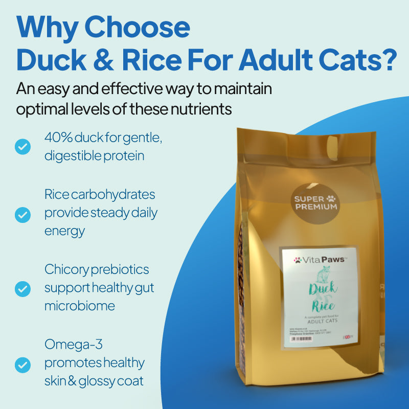Duck & rice cat food for adult cats. Digestible protein, rice carbohydrates for energy. Chicory prebiotics for healthy gut & Omega 3 for glossy coat
