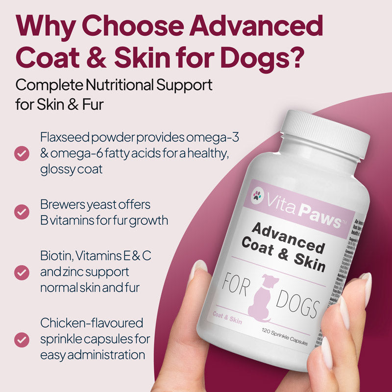 Dog owner cuddling a dog beside a coat and skin support graphic highlighting omega-3 and omega-6 fatty acids, biotin, zinc, and vitamins E and C