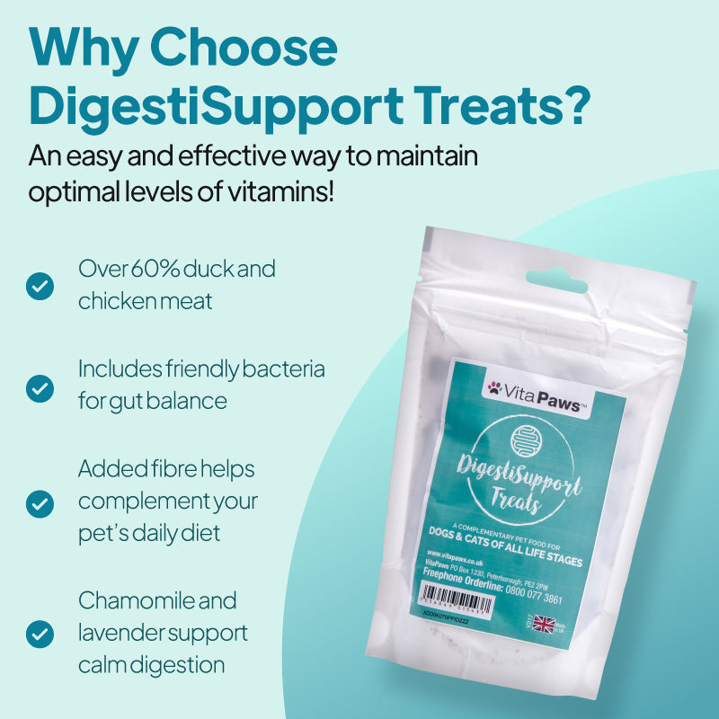 Dog and cat beside a digestive support graphic highlighting over 60% chicken and duck, friendly bacteria, chamomile and lavender for gut health