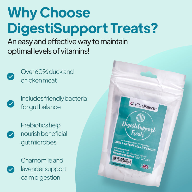 Dog and cat beside a digestive support graphic highlighting over 60% chicken and duck, friendly bacteria, chamomile and lavender for gut health