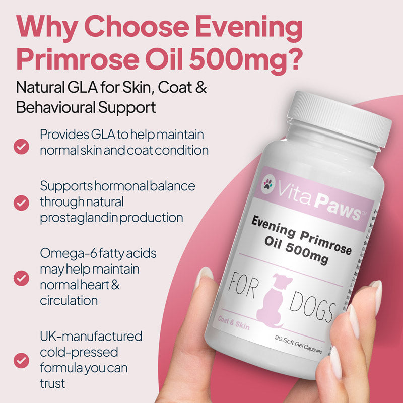 VitaPaws Evening Primrose Oil 500mg supplement for dogs with natural GLA and omega-6 fatty acids for skin, coat and daily wellbeing support