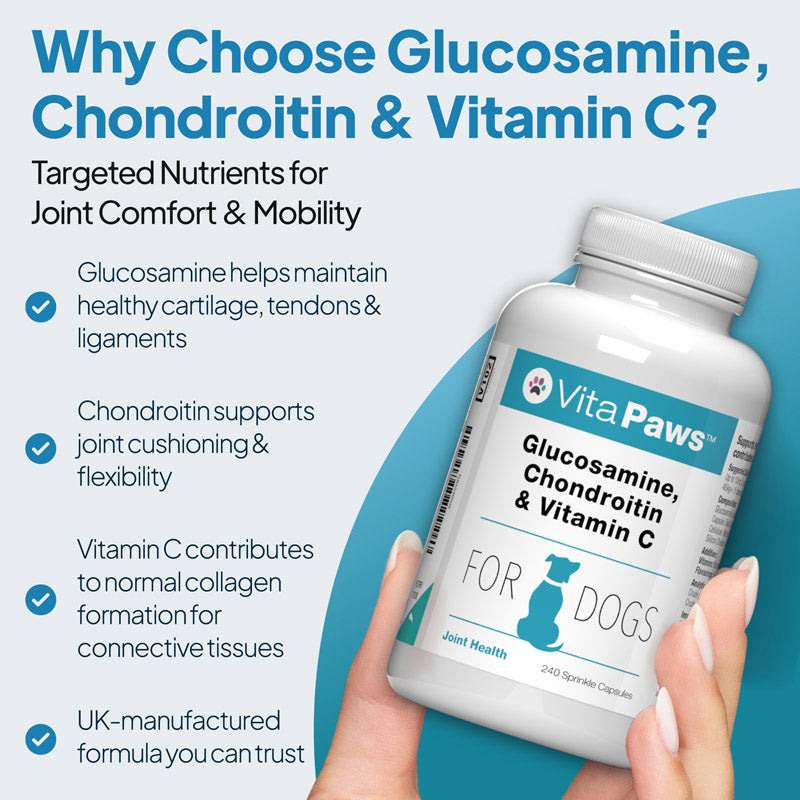 VitaPaws glucosamine, chondroitin and vitamin C joint support supplement for dogs, formulated to help maintain cartilage, tendons and connective tissue