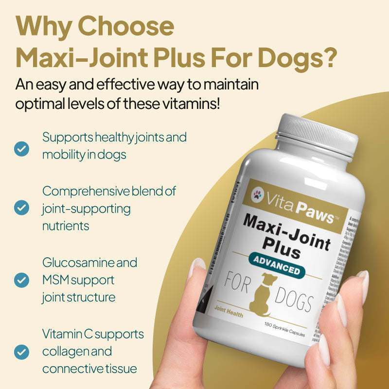 VitaPaws Maxi-Joint Plus Advanced joint support supplement for dogs with glucosamine, MSM and vitamin C for mobility, collagen and connective tissue support