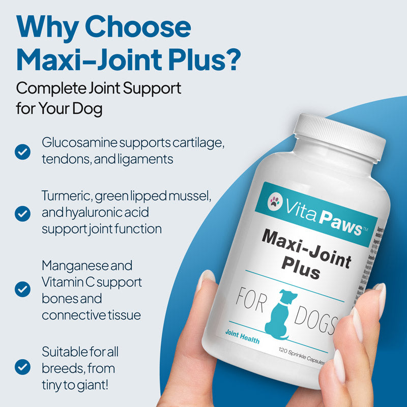 VitaPaws Maxi-Joint Plus joint support supplement for dogs with glucosamine, turmeric, green-lipped mussel and hyaluronic acid.