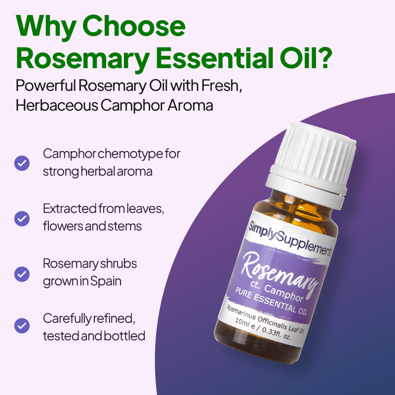 Simply Supplements Rosemary essential oil graphic highlighting camphor chemotype rosemary oil, extraction from leaves, flowers and stems, Spanish rosemary sourcing and carefully refined bottled quality.