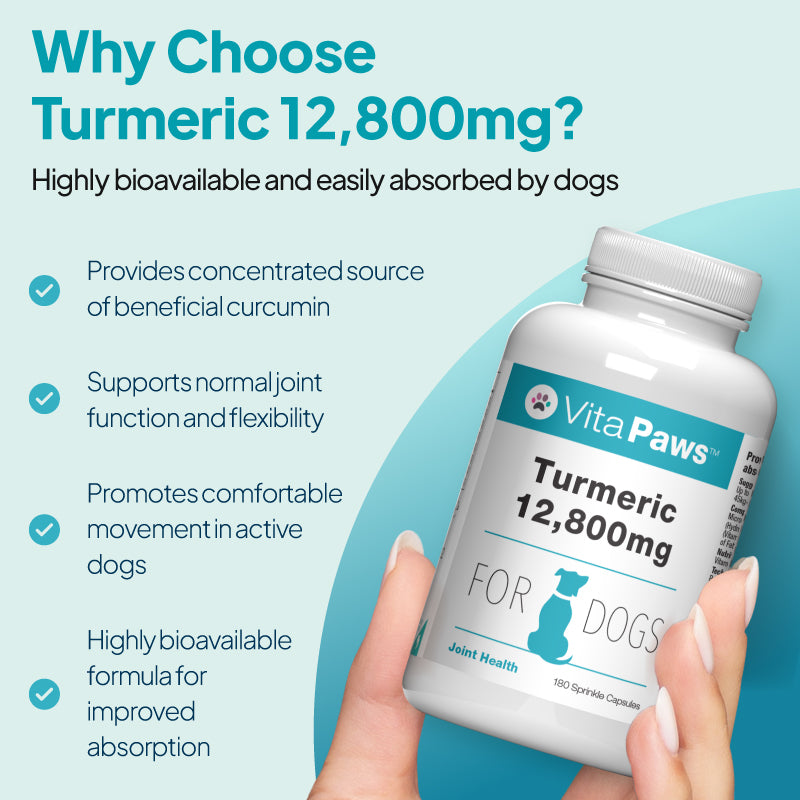 VitaPaws Turmeric 12,800mg joint support supplement for dogs with curcumin-rich turmeric and enhanced bioavailability for absorption