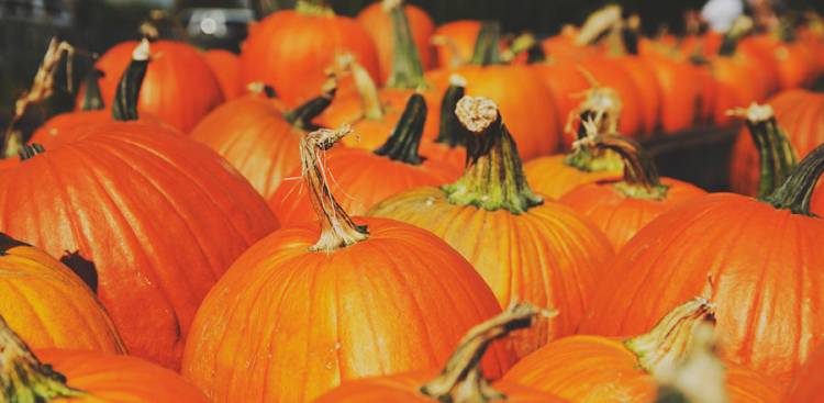 7 Surprising Benefits of Pumpkin Seeds