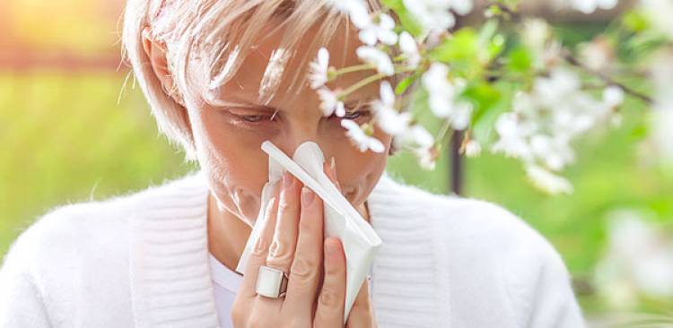 Natural Remedies for Hay Fever